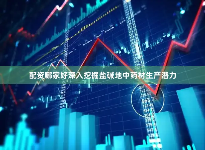 配资哪家好深入挖掘盐碱地中药材生产潜力