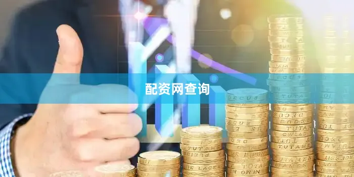 配资网查询
