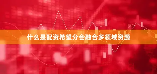 什么是配资希望分会融合多领域资源