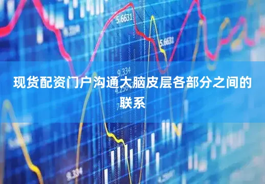 现货配资门户沟通大脑皮层各部分之间的联系